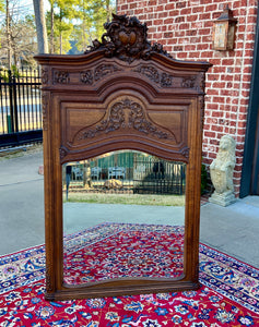 Antique French Trumeau Mirror Mantel Pier Mirror Rectangular Oak LARGE 19th C