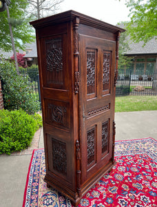 Antique French Armoire Wardrobe Cabinet Linen Closet Gothic Revival Oak c. 1880s