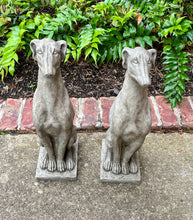 Load image into Gallery viewer, Vintage English Statues DOGS PAIR Garden Figures Cast Stone Yard Decor 22&quot; Tall