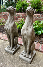 Load image into Gallery viewer, Vintage English Statues DOGS PAIR Garden Figures Cast Stone Yard Decor 22&quot; Tall