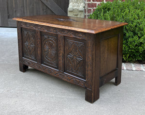 Antique English Blanket Box Chest Trunk Coffee Table Storage Chest Carved Oak