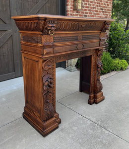 Antique French Fireplace Mantel Surround Hearth Carved Oak Renaissance Lion Mask