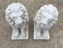 Load image into Gallery viewer, Vintage English Statues LIONS PAIR Garden Figures Cast Stone Yard Decor 22&quot; Tall