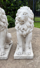 Load image into Gallery viewer, Vintage English Statues LIONS PAIR Garden Figures Cast Stone Yard Decor 22&quot; Tall