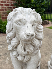 Load image into Gallery viewer, Vintage English Statues LIONS PAIR Garden Figures Cast Stone Yard Decor 22&quot; Tall