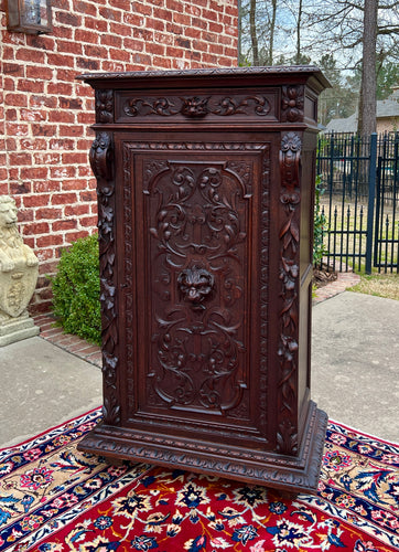 Antique French Cabinet Cupboard Bookcase Storage Drawer Carved Lion Oak 19th C