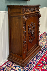 Antique French Jam Cabinet Cupboard Bookcase Storage Drawer Carved Oak 19th C