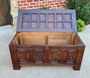 Antique French Blanket Box Chest Trunk Coffee Table Storage Chest Coffer Oak