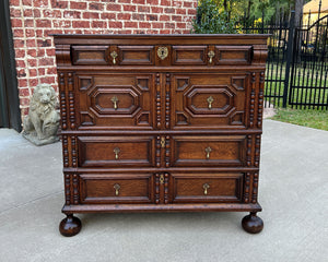 Antique English Chest on Chest of Drawers Cabinet Jacobean Carved Oak Tudor