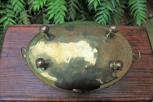 Antique English Brass Planter Flower Pot Vase Lion's Mask Handles Paw Feet OVAL