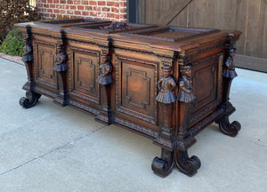 Antique French Trunk Blanket Box Coffer Chest Oak Storage LARGE Lion 18th C