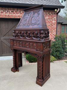 Antique French Fireplace Mantel Surround with Hood Oak Barley Twist Renaissance