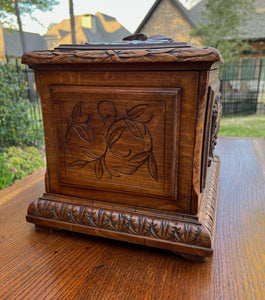 Antique French Jewelry Accessory Box Black Forest Walnut 8 Interior Drawers 19C