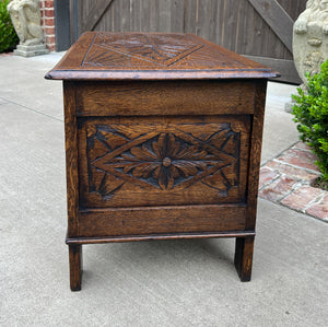 Antique English Blanket Box Chest Trunk Coffee Table Storage Chest Coffer Oak