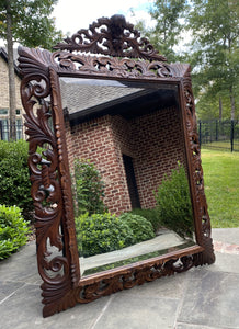 Antique French Mirror Carved Oak Beveled Acanthus Cartouche Framed Rectangular