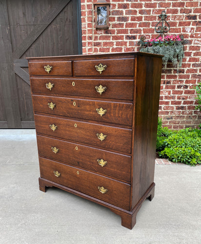 Antique English Chest of Drawers Georgian Carved Oak Large Batwings 7 Drawers