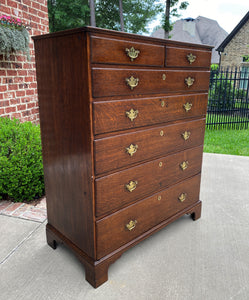 Antique English Chest of Drawers Georgian Carved Oak Large Batwings 7 Drawers