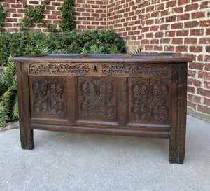 Antique English Blanket Box Chest Trunk Coffer Storage Chest Carved Oak 18th C