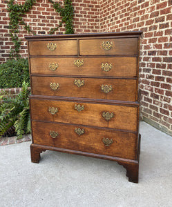 Antique English Chest on Chest of Drawers GEORGIAN Carved Oak 18th C
