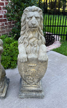 Load image into Gallery viewer, Vintage English Statues Garden Figures LIONS Shield Cast Stone PAIR 32&quot; #1