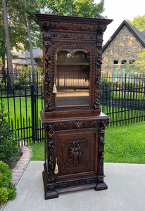 Antique French Bookcase HUNT Cabinet Display Buffet BLACK FOREST 19th C Petite