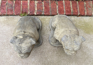 Vintage Statues Garden Figures BULLDOGS Cast Stone PAIR Seated Dogs 16" T