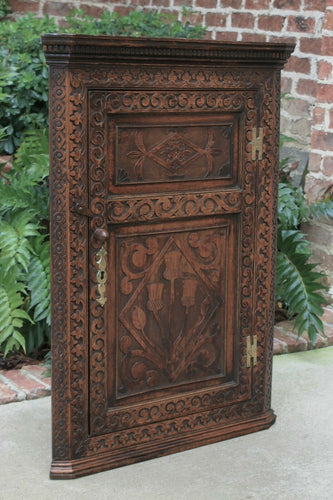 Antique English Oak CORNER Cabinet Hanging Wall Cabinet Medicine Storage Large